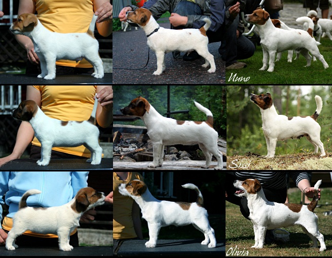 A-pentue 4vuotta_9kuvaa.jpg - A-litter 4 years old :), part 1